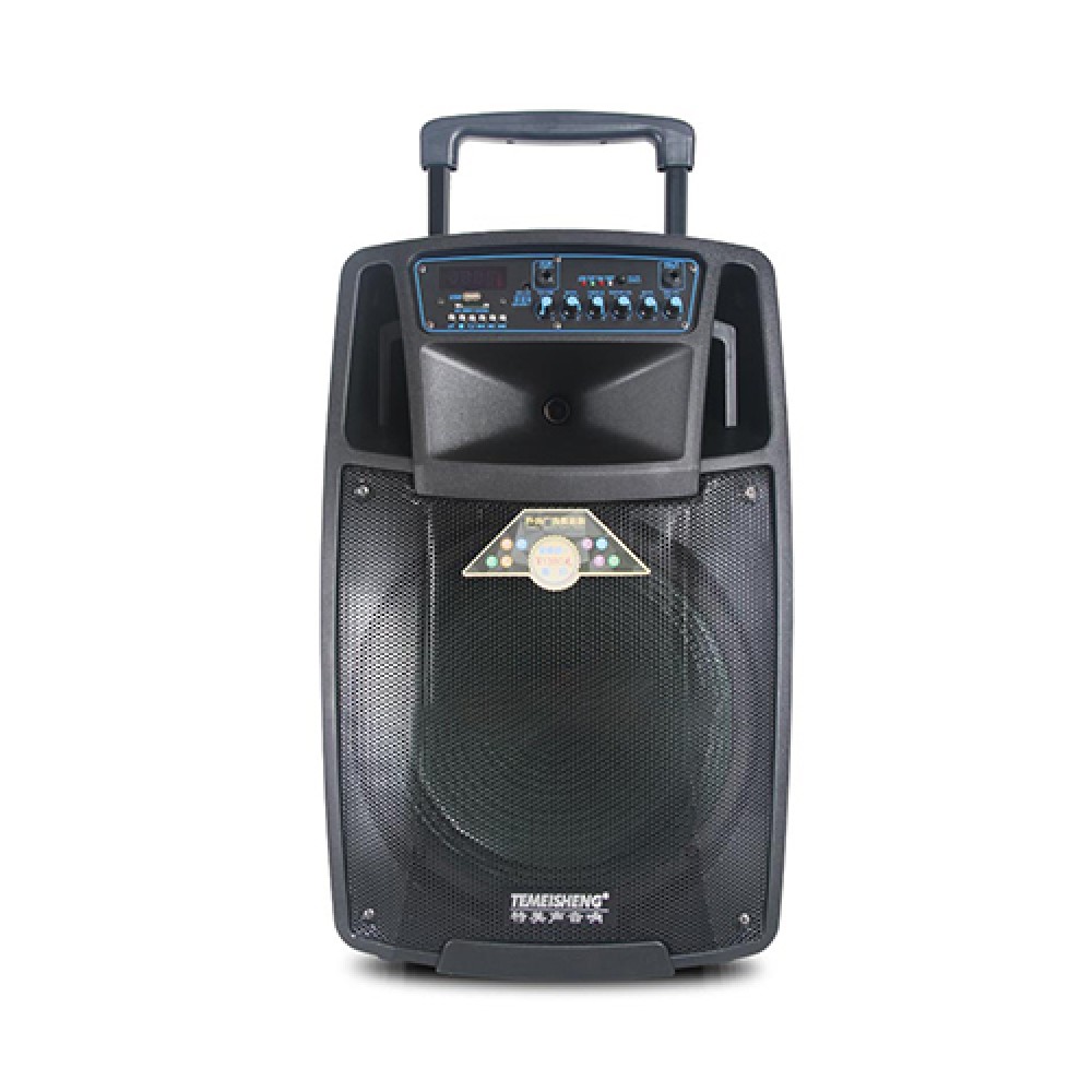 Temeisheng SL10-01 Trolley Speaker