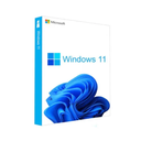 Windows 11 Professional